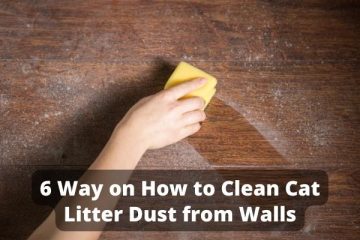 How to Clean Cat Litter Dust from Walls