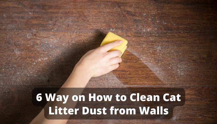 How to Clean Cat Litter Dust from Walls