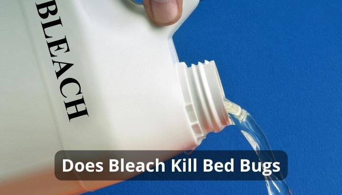 Does Bleach Kill Bed Bugs