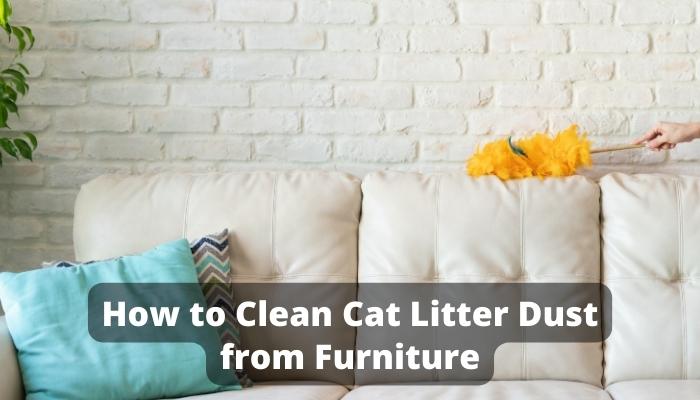 How to Clean Cat Litter Dust from Furniture