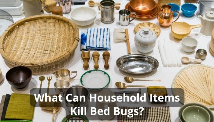 What Can Household Items Kill Bed Bugs?