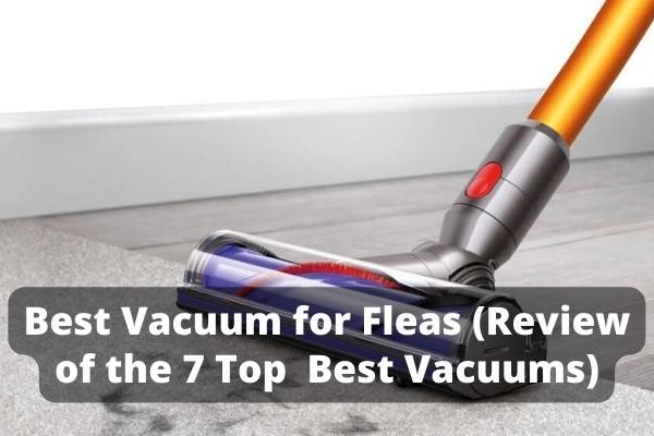 Best Vacuum for Fleas
