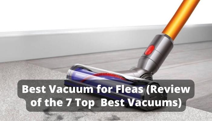 Best Vacuum for Fleas