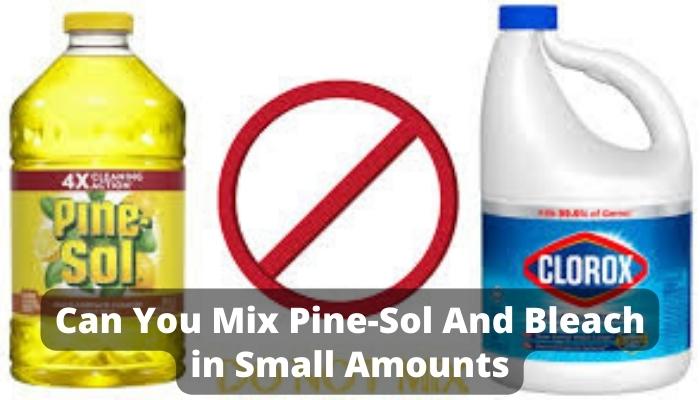 Can You Mix Pine-Sol And Bleach in Small Amounts