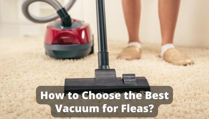 How to Choose the Best Vacuum for Fleas?