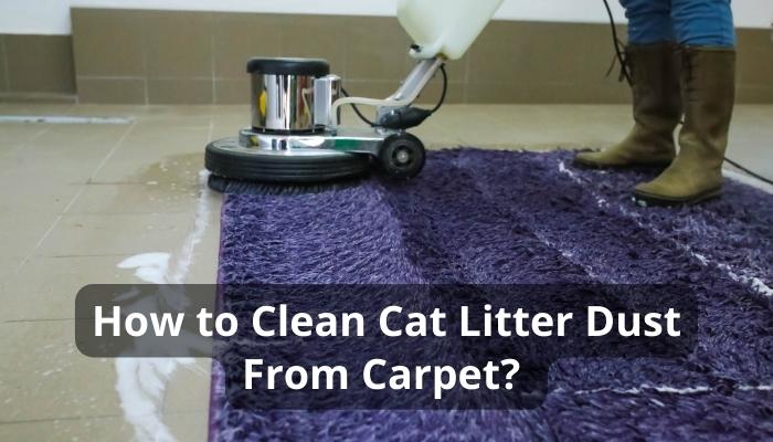 How to Clean Cat Litter Dust From Carpet? 