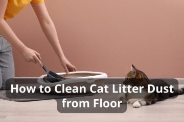 How to Clean Cat Litter Dust from Floor