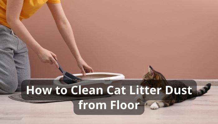 How to Clean Cat Litter Dust from Floor