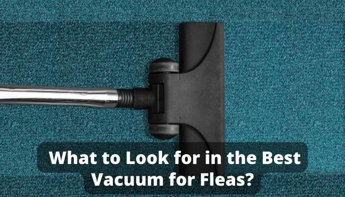  What to Look for in the Best Vacuum for Fleas?